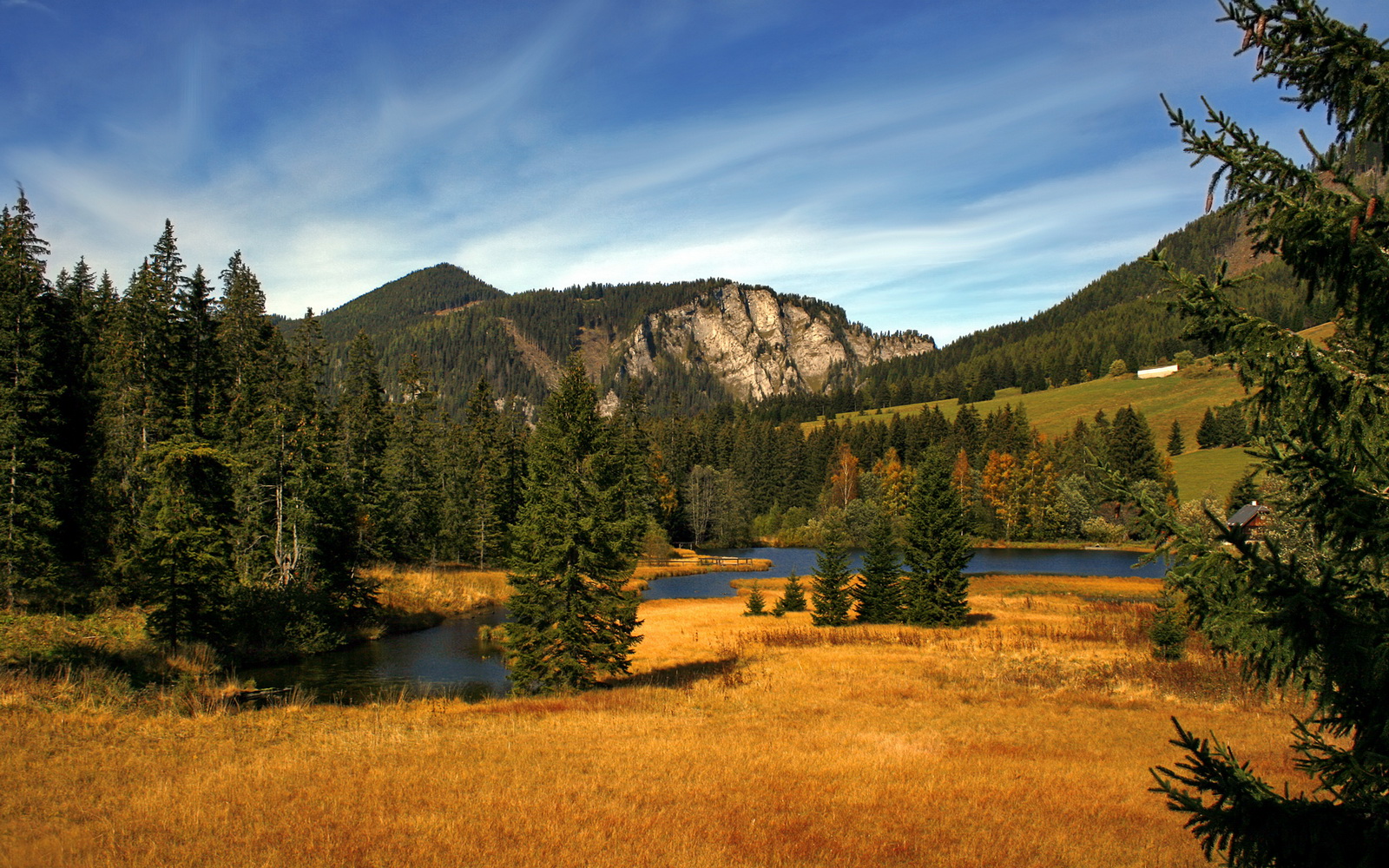 独行侠险胜尼克斯,关键一役中东契奇罚球绝杀,独行侠执行东契奇合同
