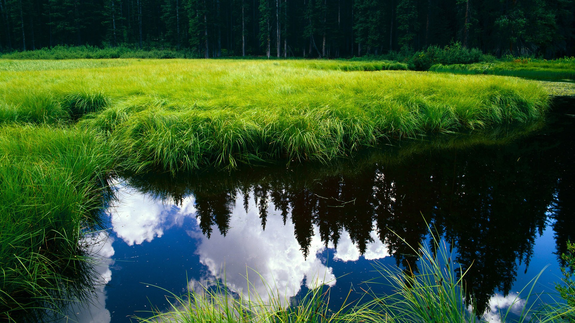 赛后复盘会议高强度进行分析每个关键节点得失，比赛复盘什么意思