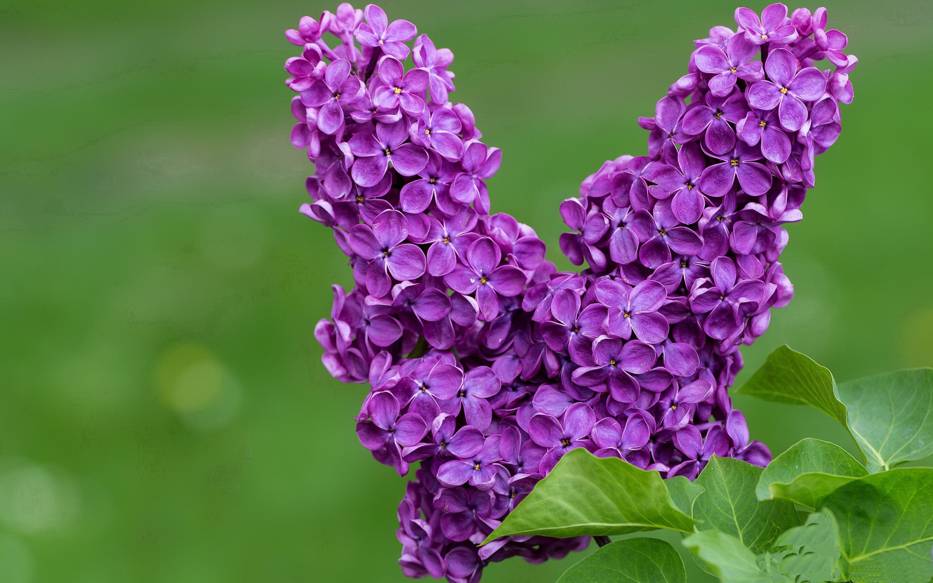 kaiyun xiazai-跨界合作：篮球与音乐、时尚品牌联手塑造赛事新潮流，篮球类音乐