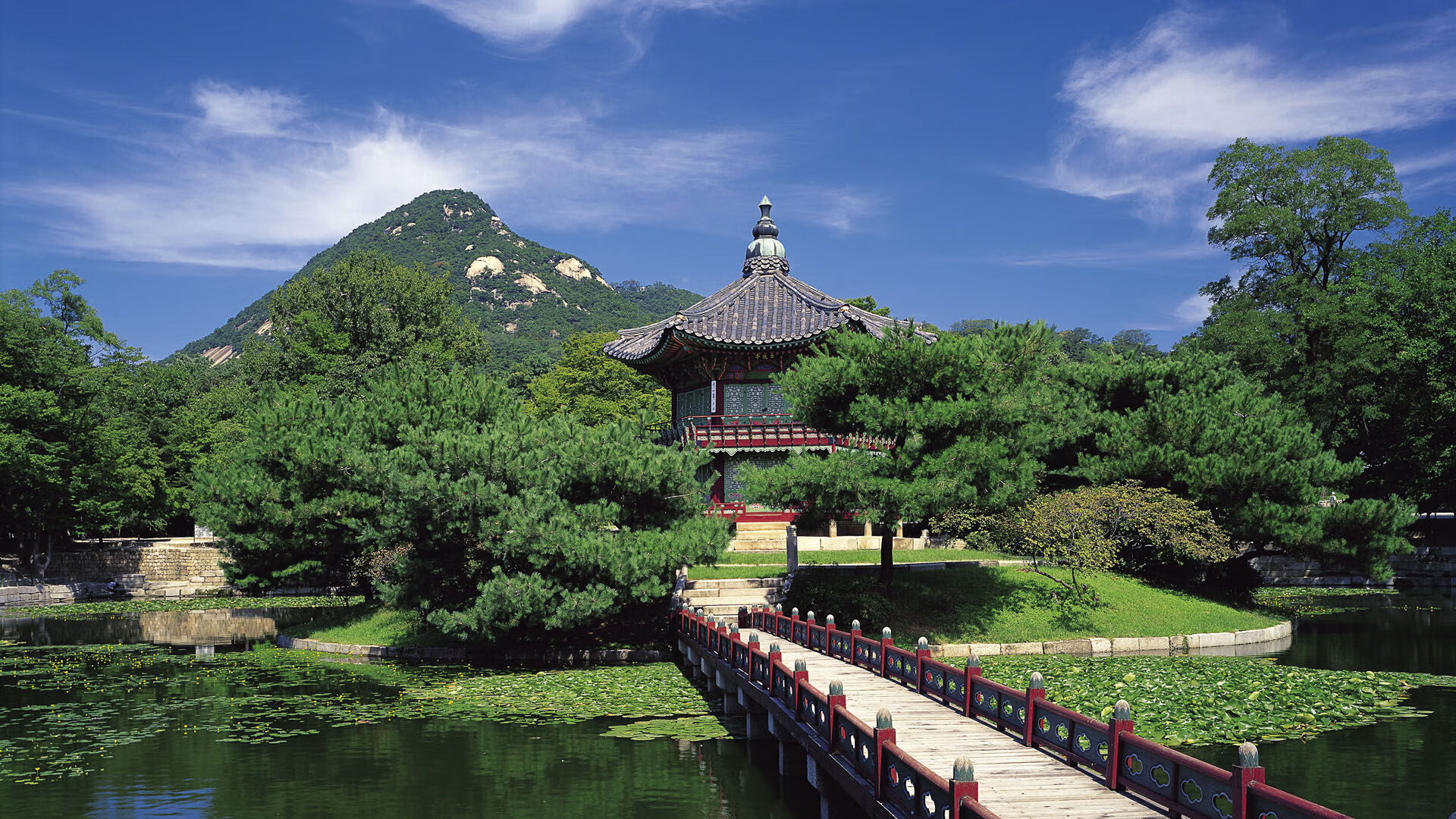 开云体育APP-鹈鹕全队参与赛后恢复项目保障竞技状态，鹈鹕目前阵容