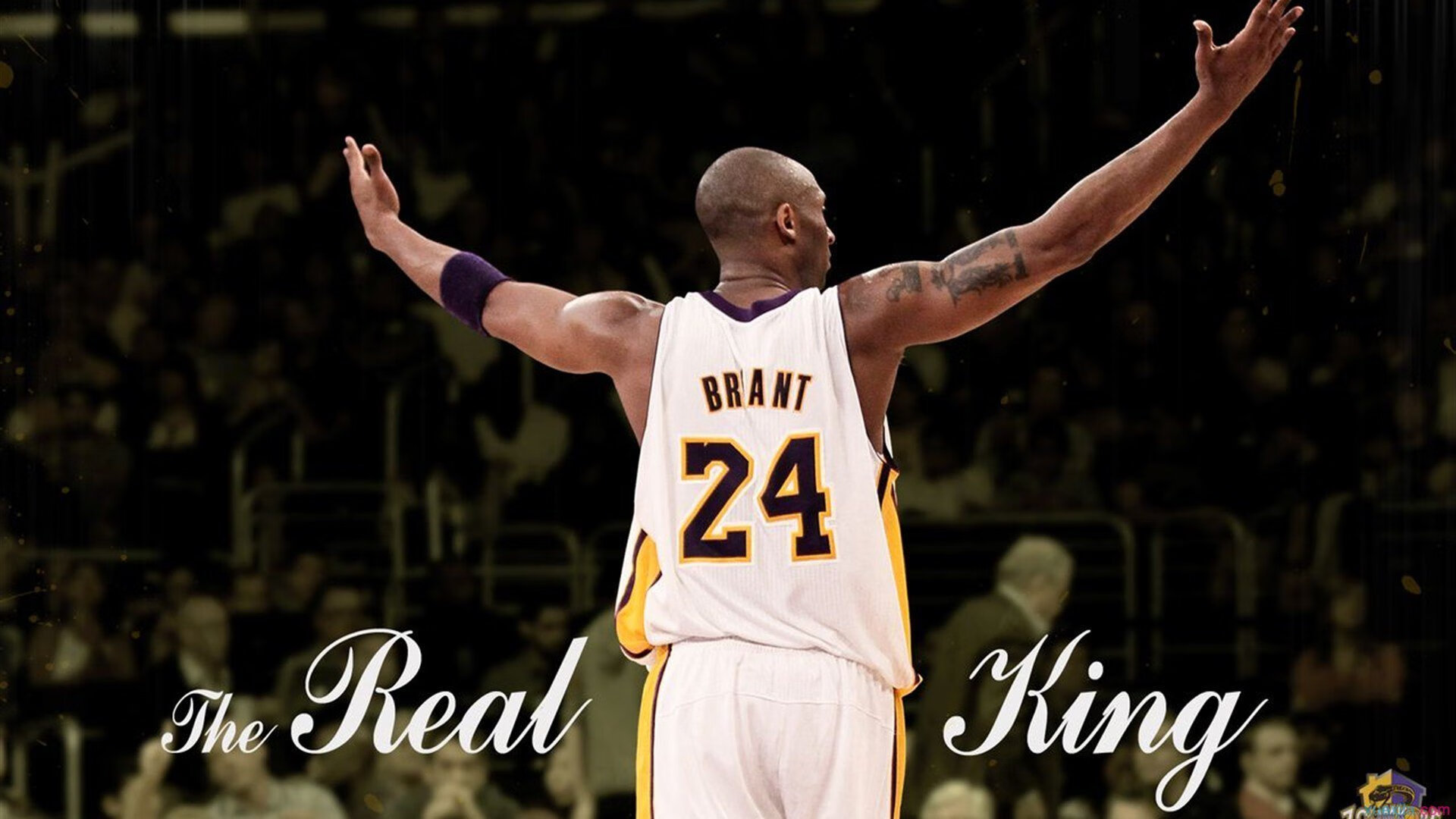 _季后赛门票争夺激烈！十支队伍誓要冲刺_，季后赛系列赛